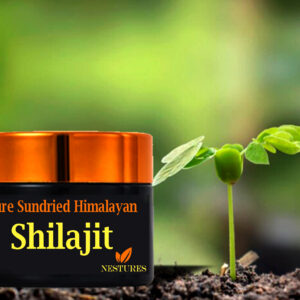 Shilajit ( Salajeet )