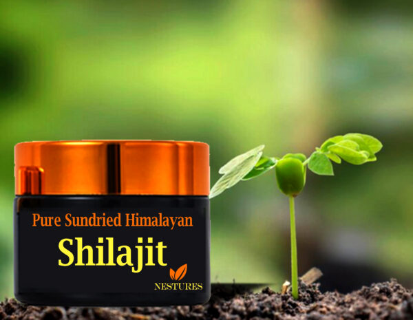 Shilajit ( Salajeet )